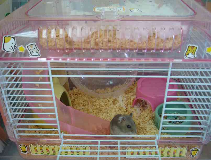 20061004_1.JPG