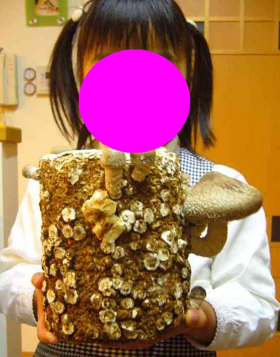 20070115_1.JPG